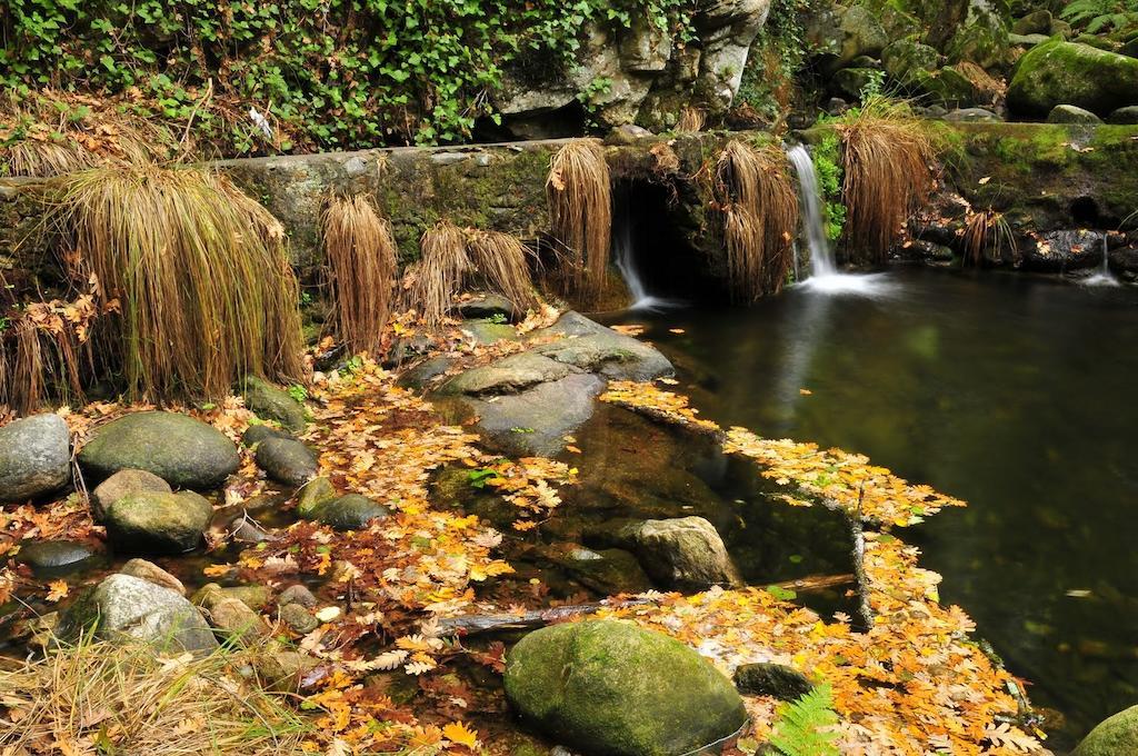 Pensjonat Casas Rurales Fuente Del Aliso Hervás Pokój zdjęcie