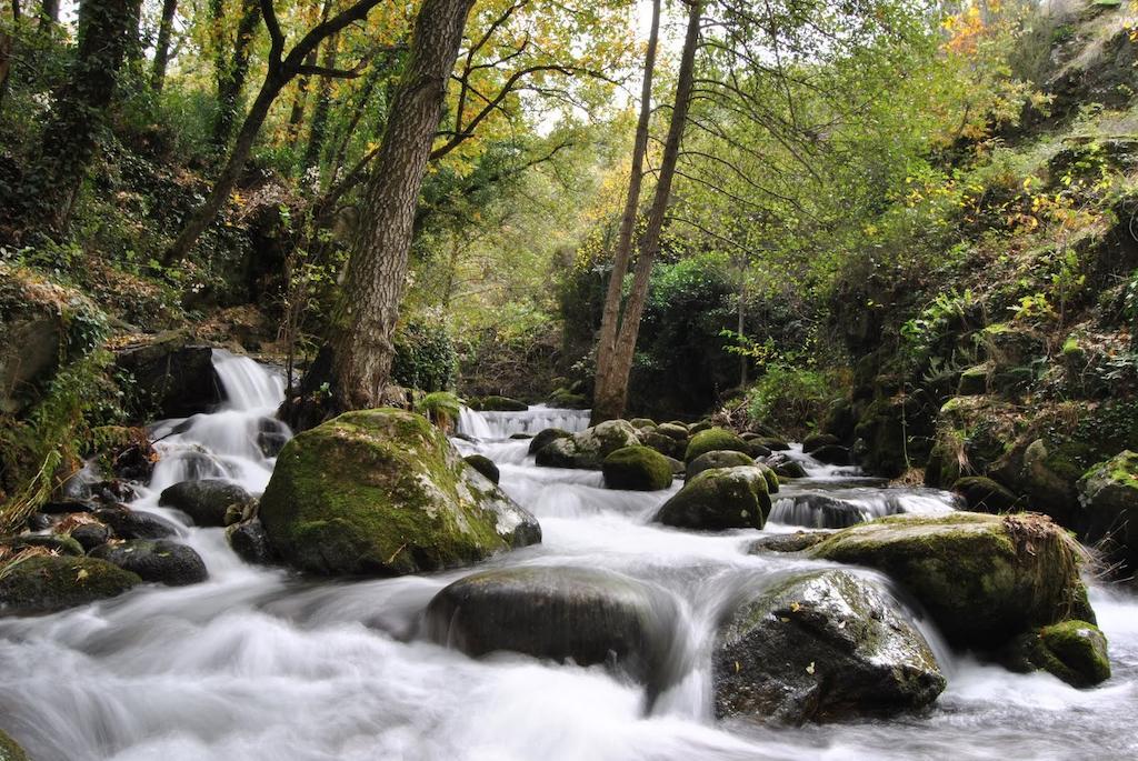 Pensjonat Casas Rurales Fuente Del Aliso Hervás Pokój zdjęcie